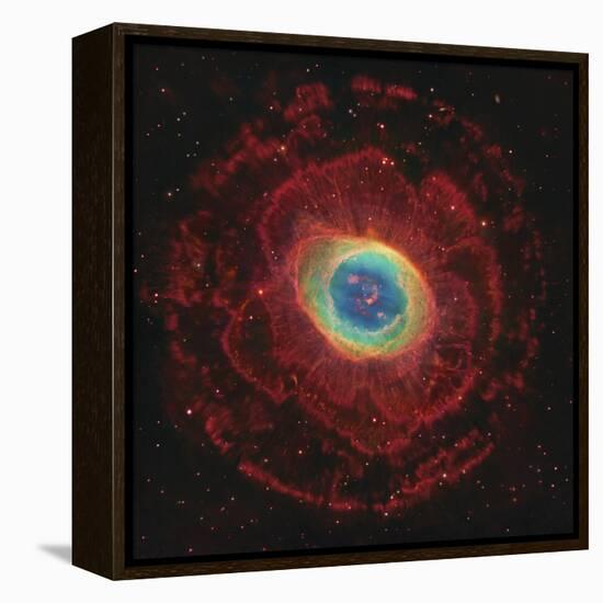 M57, the Ring Nebula-null-Framed Premier Image Canvas