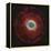 M57, the Ring Nebula-null-Framed Premier Image Canvas