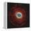 M57, the Ring Nebula-null-Framed Premier Image Canvas