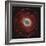 M57, the Ring Nebula-null-Framed Photographic Print