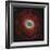 M57, the Ring Nebula-null-Framed Photographic Print