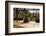 MA©ditation-Marc Pelissier-Framed Photographic Print