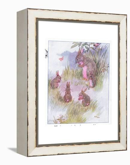 Ma Is So Particular-Anne Anderson-Framed Premier Image Canvas