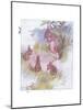 Ma Is So Particular-Anne Anderson-Mounted Giclee Print