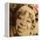 Ma Rainey - Ma Rainey-null-Framed Stretched Canvas