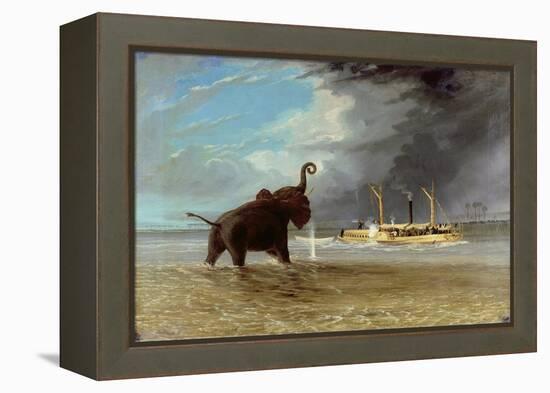 'Ma Robert' and Elephants in the Shallows of the Shire River, 1858-Thomas Baines-Framed Premier Image Canvas