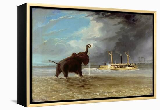 'Ma Robert' and Elephants in the Shallows of the Shire River, 1858-Thomas Baines-Framed Premier Image Canvas