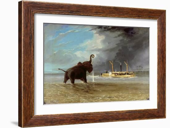 'Ma Robert' and Elephants in the Shallows of the Shire River, 1858-Thomas Baines-Framed Giclee Print