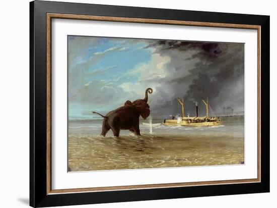 'Ma Robert' and Elephants in the Shallows of the Shire River, 1858-Thomas Baines-Framed Giclee Print