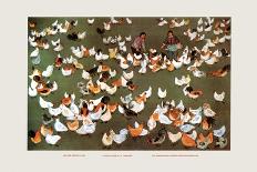 The Brigade's Chicken Farm-Ma Ya-li-Framed Art Print