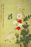 Corn Poppy and Butterflies, 1702-Ma Yuanyu-Framed Giclee Print