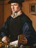 Portrait of a Man, 1529-Maarten Jacobsz van Heemskerck-Giclee Print