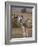 Maasai Giraffe, Masai Mara, Kenya-Joe Restuccia III-Framed Photographic Print