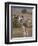 Maasai Giraffe, Masai Mara, Kenya-Joe Restuccia III-Framed Photographic Print