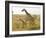 Maasai Giraffes Roaming, Maasai Mara, Kenya-Joe Restuccia III-Framed Photographic Print