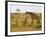 Maasai Giraffes Roaming, Maasai Mara, Kenya-Joe Restuccia III-Framed Photographic Print