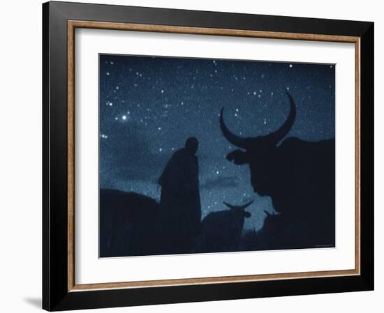 Maasai Herdsman, Serengeti National Park, Ngorongoro Conservation Area, Tanzania, East Africa-Martin Dohrn-Framed Photographic Print