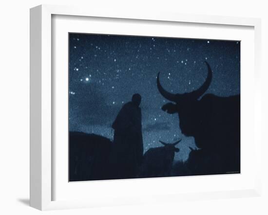 Maasai Herdsman, Serengeti National Park, Ngorongoro Conservation Area, Tanzania, East Africa-Martin Dohrn-Framed Photographic Print