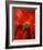 Maasai Teacher, Esetiti Nursery School, Amboseli National Park, Kenya-Alison Jones-Framed Photographic Print