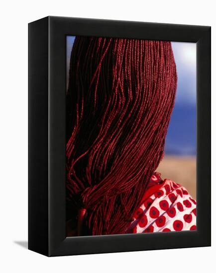 Maasai Warrior's Plaited Hair, Masai Mara National Reserve, Kenya-Tom Cockrem-Framed Premier Image Canvas