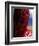 Maasai Warrior's Plaited Hair, Masai Mara National Reserve, Kenya-Tom Cockrem-Framed Photographic Print