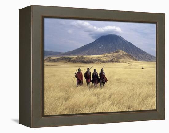 Maasai Warriors Stride across Golden Grass Plains at Foot of Ol Doinyo Lengai, 'Mountain of God'-Nigel Pavitt-Framed Premier Image Canvas