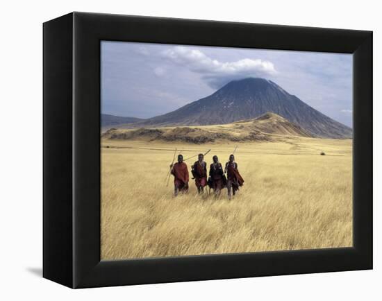 Maasai Warriors Stride across Golden Grass Plains at Foot of Ol Doinyo Lengai, 'Mountain of God'-Nigel Pavitt-Framed Premier Image Canvas