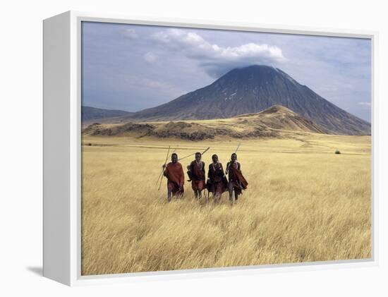 Maasai Warriors Stride across Golden Grass Plains at Foot of Ol Doinyo Lengai, 'Mountain of God'-Nigel Pavitt-Framed Premier Image Canvas