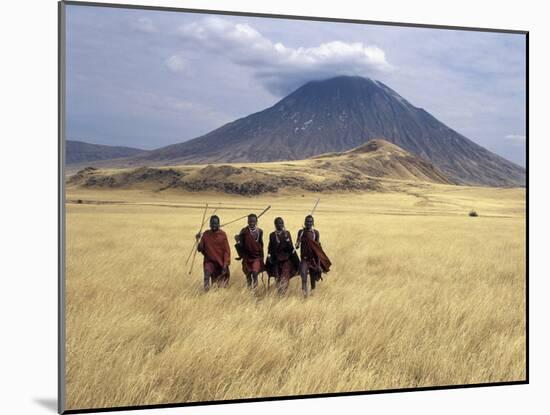 Maasai Warriors Stride across Golden Grass Plains at Foot of Ol Doinyo Lengai, 'Mountain of God'-Nigel Pavitt-Mounted Photographic Print