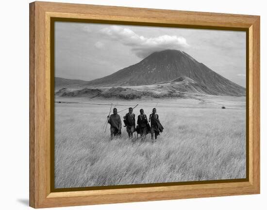 Maasai Warriors Stride across Golden Grass Plains at Foot of Ol Doinyo Lengai, 'Mountain of God'-Nigel Pavitt-Framed Premier Image Canvas