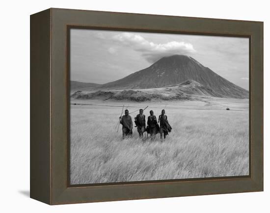 Maasai Warriors Stride across Golden Grass Plains at Foot of Ol Doinyo Lengai, 'Mountain of God'-Nigel Pavitt-Framed Premier Image Canvas