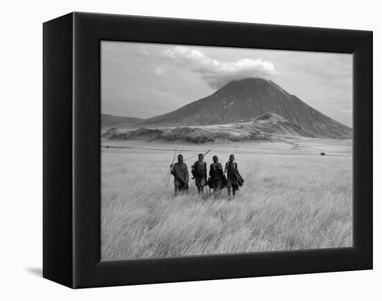 Maasai Warriors Stride across Golden Grass Plains at Foot of Ol Doinyo Lengai, 'Mountain of God'-Nigel Pavitt-Framed Premier Image Canvas