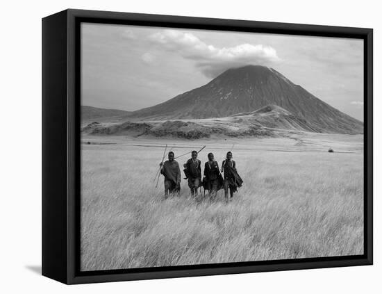 Maasai Warriors Stride across Golden Grass Plains at Foot of Ol Doinyo Lengai, 'Mountain of God'-Nigel Pavitt-Framed Premier Image Canvas