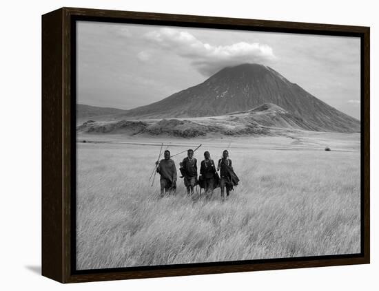 Maasai Warriors Stride across Golden Grass Plains at Foot of Ol Doinyo Lengai, 'Mountain of God'-Nigel Pavitt-Framed Premier Image Canvas