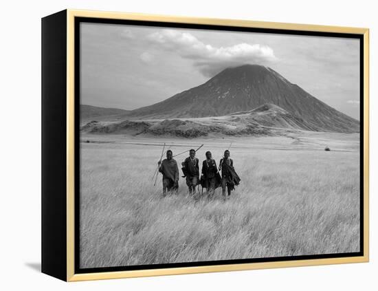 Maasai Warriors Stride across Golden Grass Plains at Foot of Ol Doinyo Lengai, 'Mountain of God'-Nigel Pavitt-Framed Premier Image Canvas