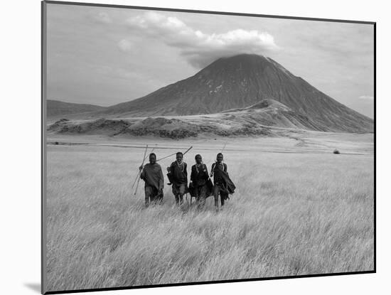 Maasai Warriors Stride across Golden Grass Plains at Foot of Ol Doinyo Lengai, 'Mountain of God'-Nigel Pavitt-Mounted Premium Photographic Print