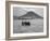 Maasai Warriors Stride across Golden Grass Plains at Foot of Ol Doinyo Lengai, 'Mountain of God'-Nigel Pavitt-Framed Photographic Print