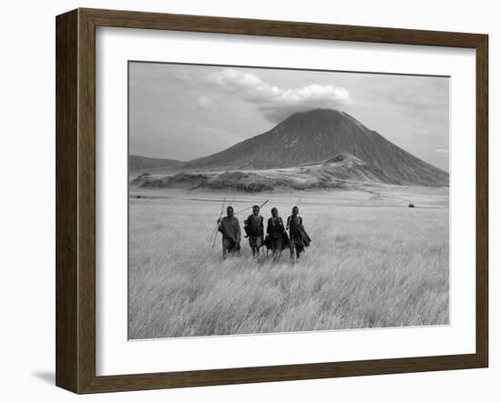 Maasai Warriors Stride across Golden Grass Plains at Foot of Ol Doinyo Lengai, 'Mountain of God'-Nigel Pavitt-Framed Photographic Print