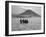 Maasai Warriors Stride across Golden Grass Plains at Foot of Ol Doinyo Lengai, 'Mountain of God'-Nigel Pavitt-Framed Photographic Print