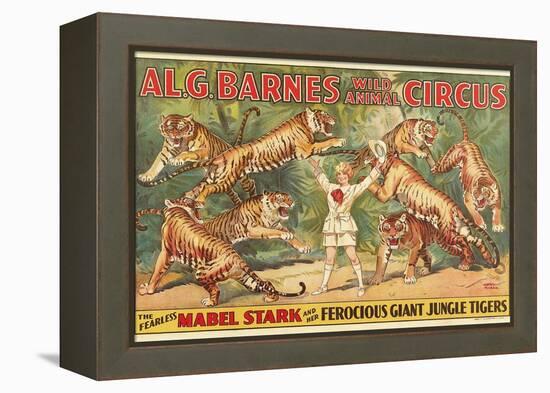 Mabel Stark, Tiger Trainer-null-Framed Stretched Canvas