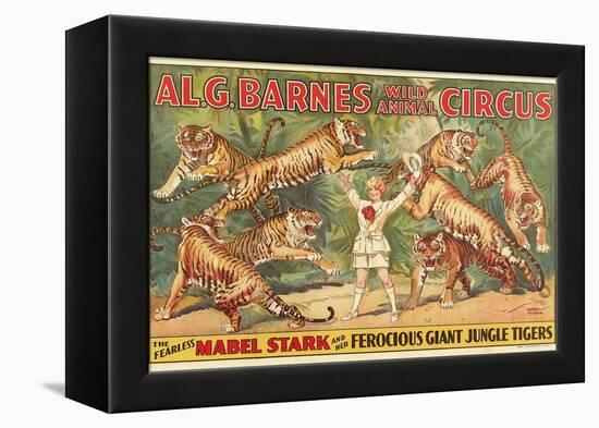 Mabel Stark, Tiger Trainer-null-Framed Stretched Canvas