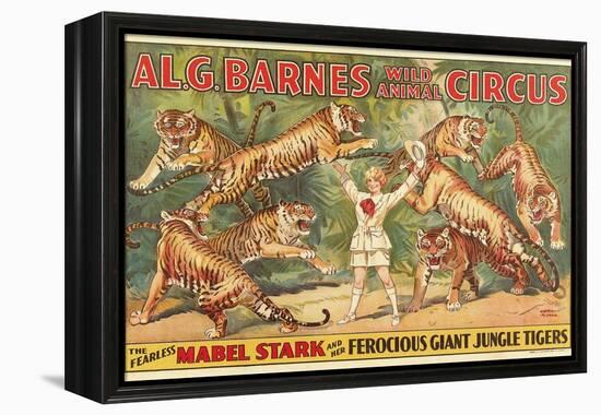 Mabel Stark, Tiger Trainer-null-Framed Stretched Canvas