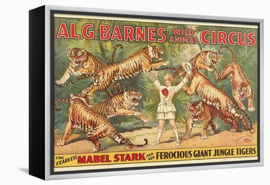 Mabel Stark, Tiger Trainer-null-Framed Stretched Canvas