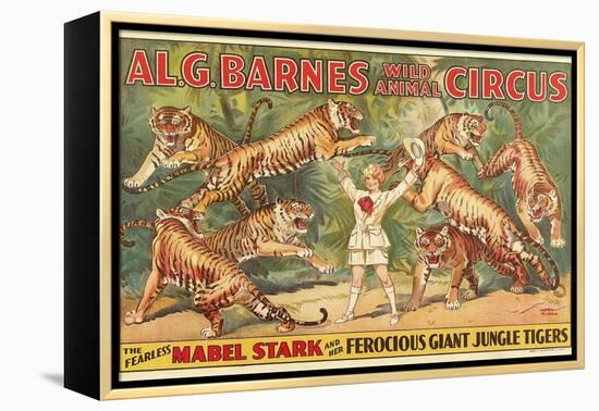 Mabel Stark, Tiger Trainer-null-Framed Stretched Canvas