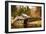 Mabry Mill III-Alan Hausenflock-Framed Photographic Print