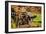 Mabry Mill IV-Alan Hausenflock-Framed Photographic Print