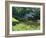 Mabry Mill, Restored and Working, Blue Ridge Parkway, South Appalachian Mountains, Virginia, USA-Robert Francis-Framed Photographic Print