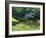 Mabry Mill, Restored and Working, Blue Ridge Parkway, South Appalachian Mountains, Virginia, USA-Robert Francis-Framed Photographic Print