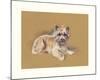 Premium Giclee Print