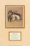 Judy, A Spaniel Puppy-Mac-Premium Giclee Print